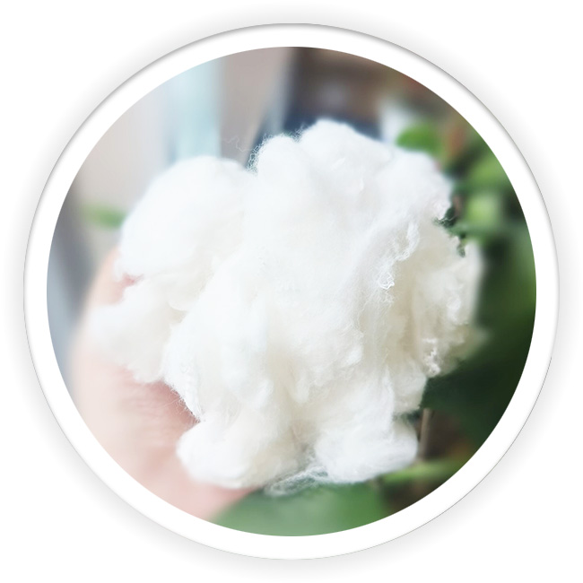 White Bamboo Charcoal Polyester Fiber