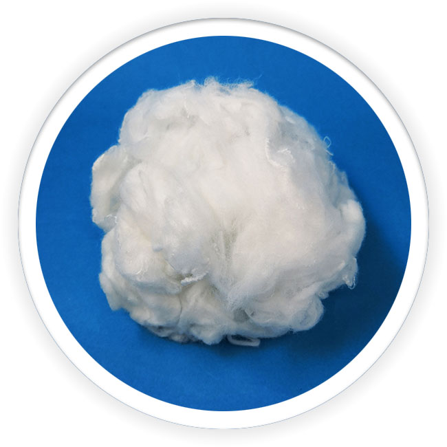 Silver ion (anti-bacterial) polyester fiber