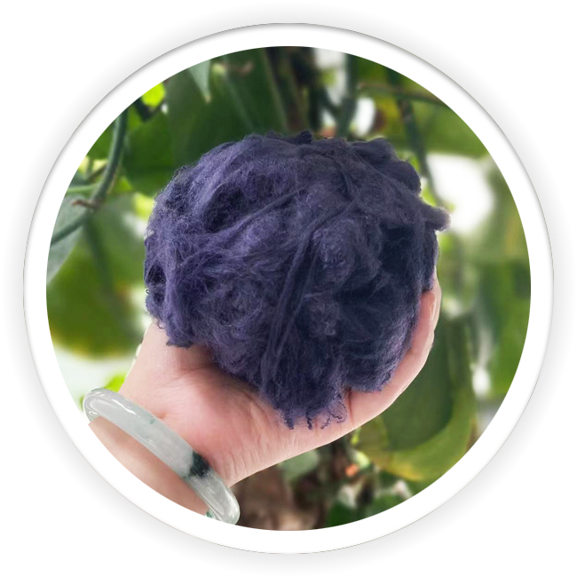 Dope Dyed Polyester Black Purple Fiber