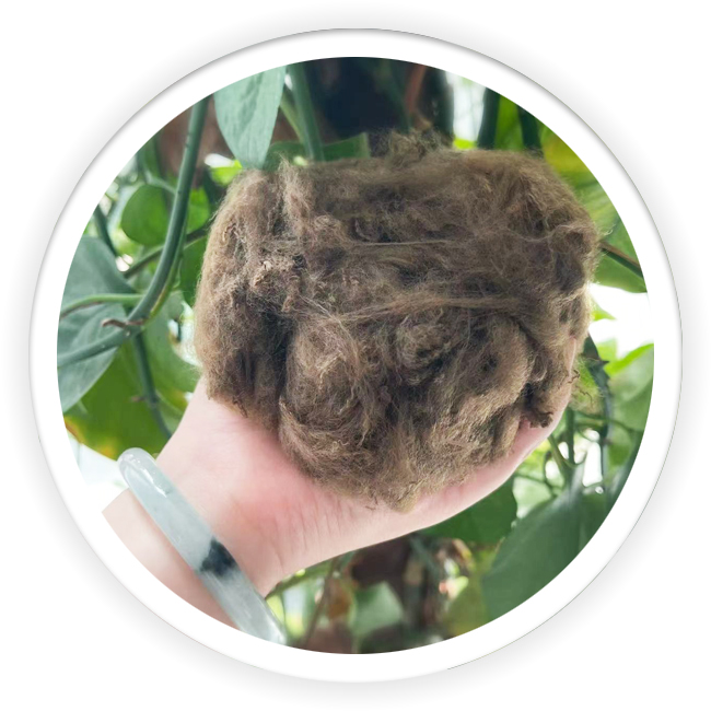 Brown Black Polyester Material Dope Dyed Fiber