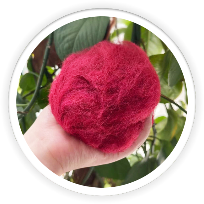 Red Dope Dyed Color Polyester Fiber