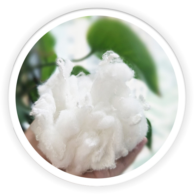 Polyester Silver Ion Antibacteria Fiber