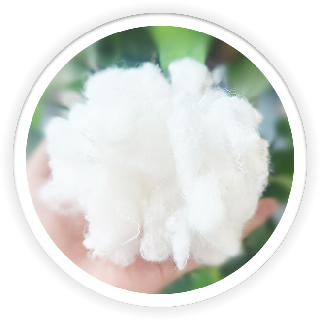 Far Infrared Fiber Supplier from China