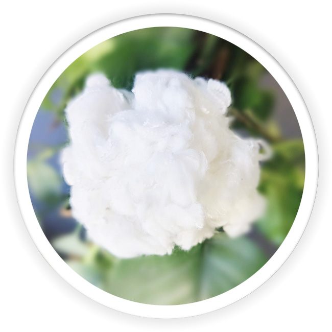 Polyester High Shrinkage Fiber