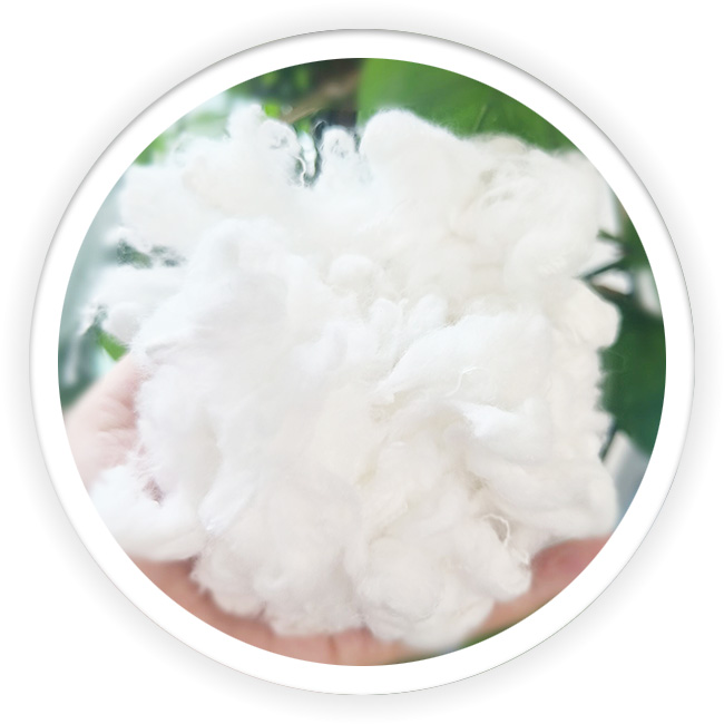Silver Ion Antibacteria Fiber