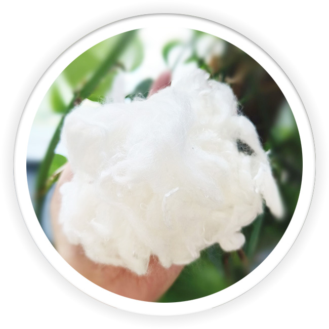 PLA Soild Staple Fiber