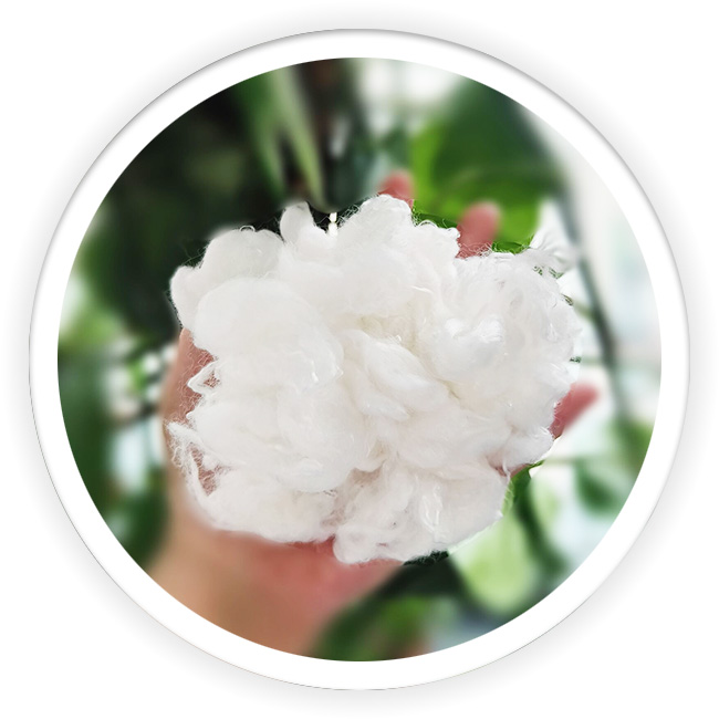 PLA Degradable Staple Fiber