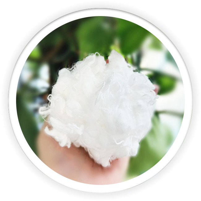 Polyester CDP fiber
