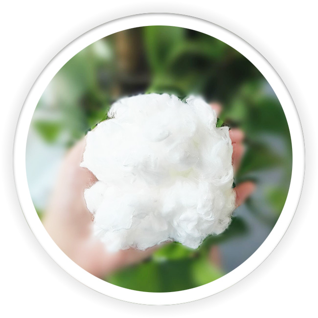 ECDP Polyester Fibers llc