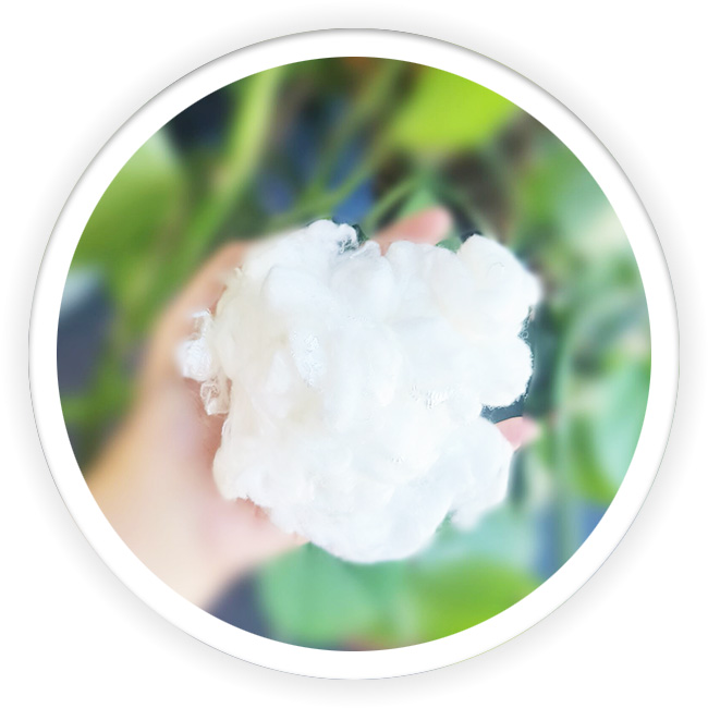 Splittable PSF Polyester Staple Fiber